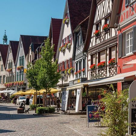Cheerful Apartment Near City Centre Of Haslach Haslach im Kinzigtal Eksteriør bilde