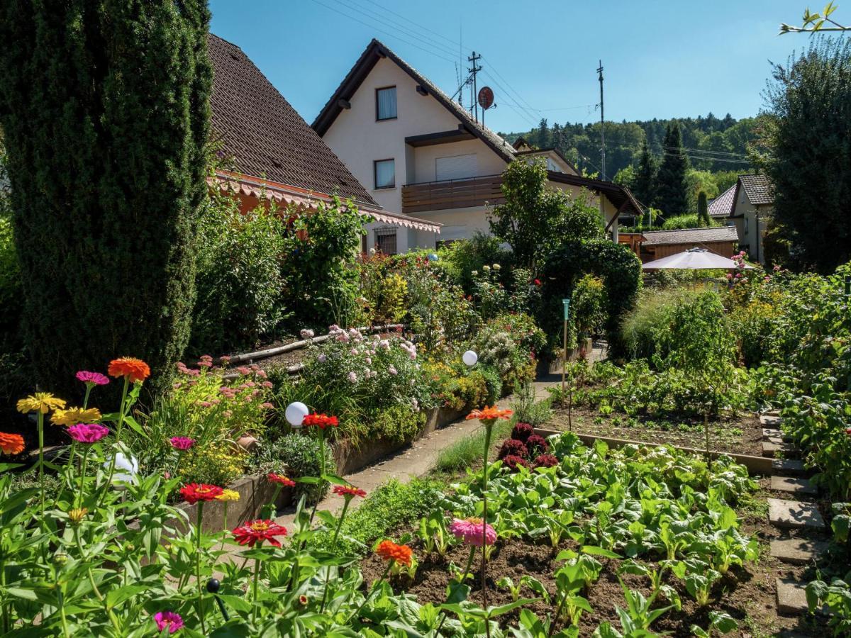 Cheerful Apartment Near City Centre Of Haslach Haslach im Kinzigtal Eksteriør bilde
