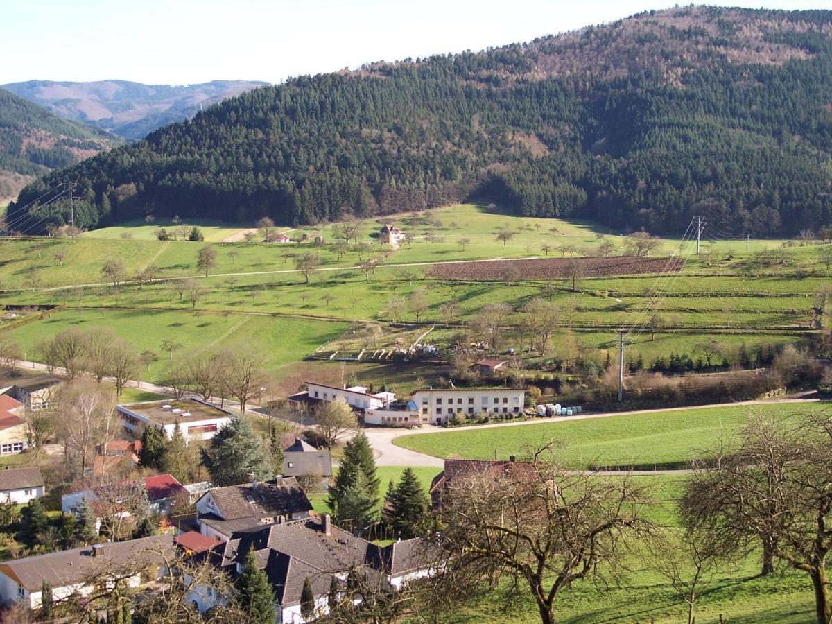 Cheerful Apartment Near City Centre Of Haslach Haslach im Kinzigtal Eksteriør bilde